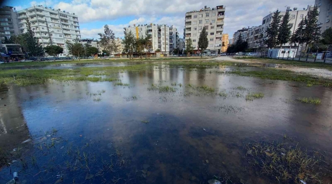 Adana'da su birikintileri buz tuttu