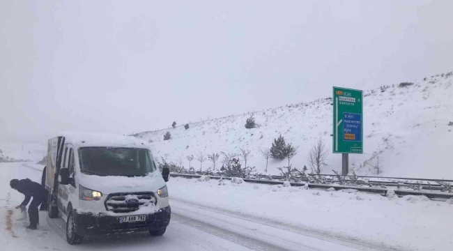 Büyükşehir Belediye ekipleri sokak hayvanlarını unutmadı