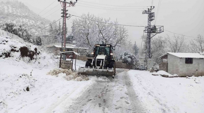 Hatay'da kar yağışı nedeniyle ahır çöktü, 10 hayvan telef oldu