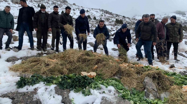 Jandarmadan yaban hayvanlarına yem