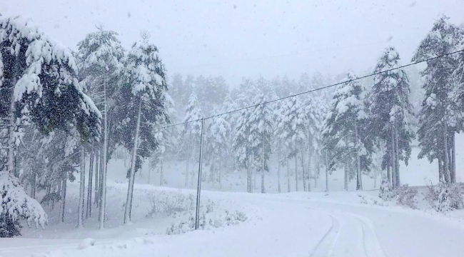 Meteoroloji sarı kodla uyardı, yoğun kar yağışı bekleniyor