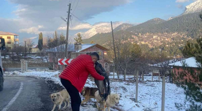 "Piton döner" karda aç kalan sokak köpeklerinin yanında