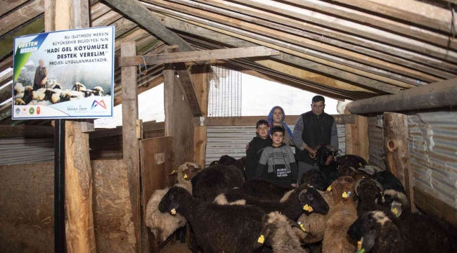 'Haydi gel köyümüze destek verelim' projesi, damızlıklarla çoğalıyor