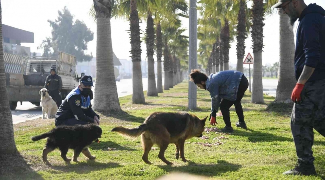 Adana'da sokak hayvanları unutulmadı