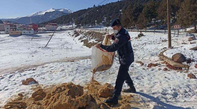 Jandarmadan yaban hayvanlarına yem