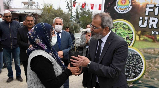 Tarsus Belediyesi, 24 mahallede üreticilere ücretsiz fidan dağıttı