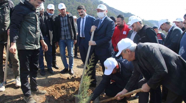 Bozyazı'da fidan dikim etkinliği