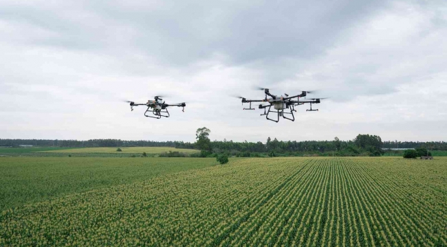 Dronlar zirai mücadelede çiftçiye kolaylık sağlıyor