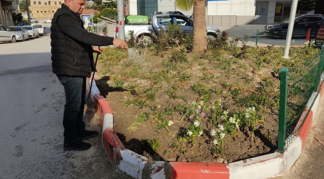 Samandağ'da çevre düzenlemesi çalışmaları