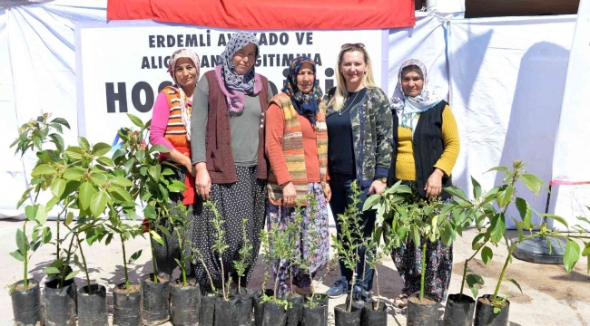 Büyükşehir Belediyesinden Erdemlili üreticilere avokado ve alıç fidanı