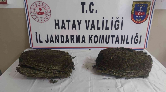 Hatay'da uyuşturucu operasyonu