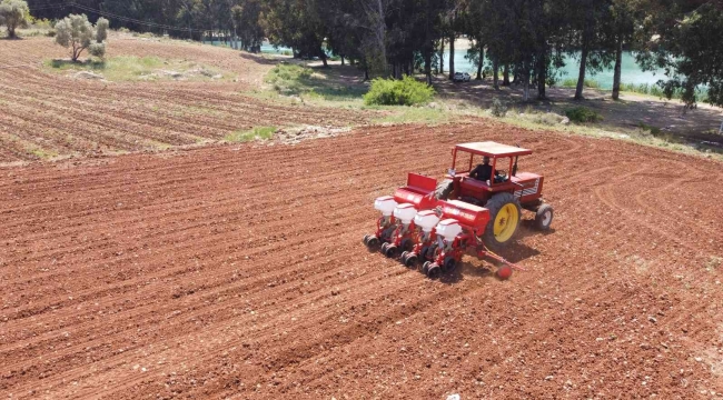 Tarsus Belediyesinden hayvan besicilerine silajlık mısır desteği