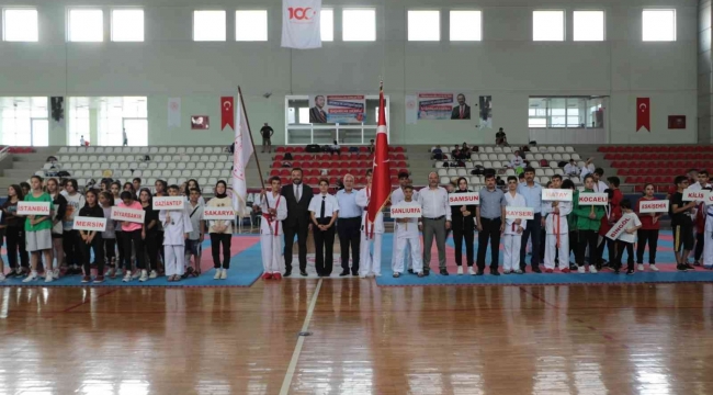 Anadolu Yıldızları Ligi karate finalleri İskenderun'da başladı