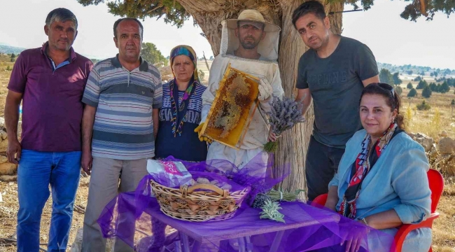 Silifke'de lavanta balı üretimi yapıldı