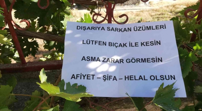 Bahçesinden dışarı sarkan üzümler için yazdığı notla gönülleri fethetti