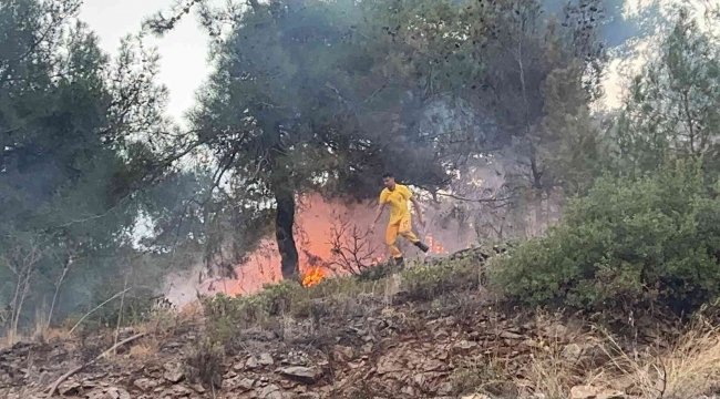 Hatay'da ormanlık alanda çıkan yangın evlere sıçramadan söndürüldü