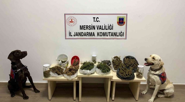 Mersin'de uyuşturucu operasyonu