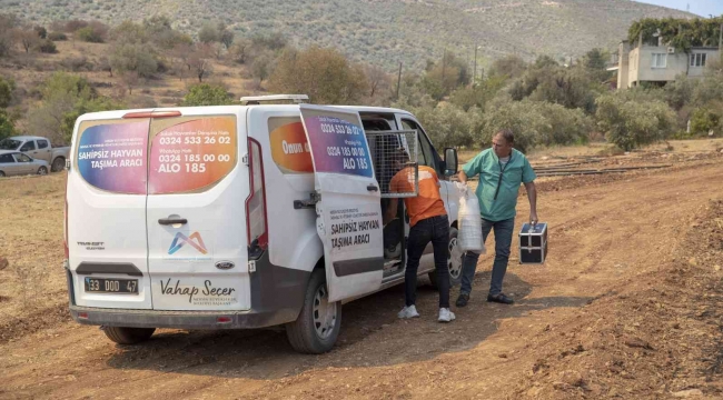 Yangın bölgesindeki hayvanlar için mama ve su bırakıldı