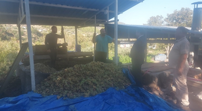 Hatay'da üzümler "çalpak pekmezi"ne dönüştürüldü