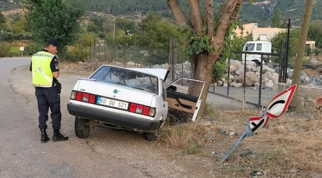 Osmaniye'de ağaca çarpan otomobildeki karı koca yaralandı