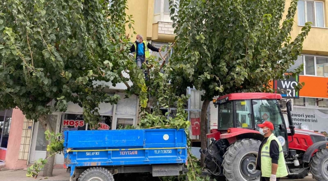 Mut'ta temizlik çalışmaları