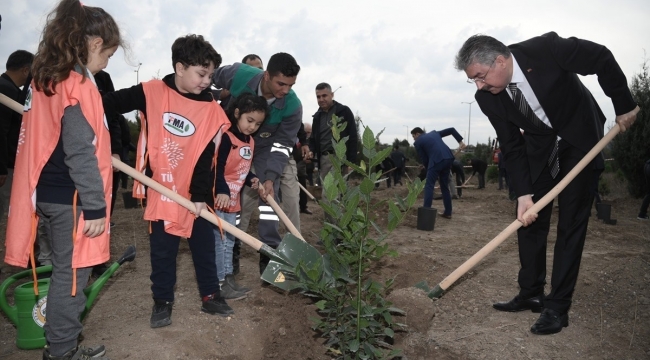 Şehit öğretmen Ayşenur Alkan adına fidan dikildi