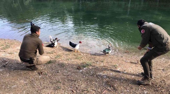 Mersin polisi soğuk kış günlerinde yaban hayvanlarını unutmuyor