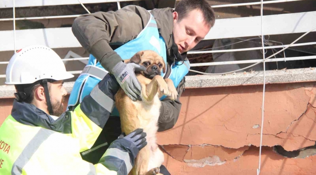 6 katlı bina enkazından sağ çıktı, depremzede kadın sahiplendi