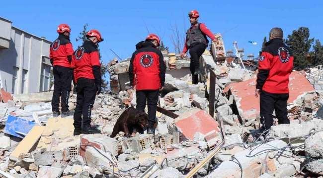 75 yaşındaki beyin cerrahı enkaz altında aranıyor