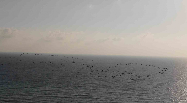 Depremin vurduğu Hatay'da göç eden turnalardan görsel şölen