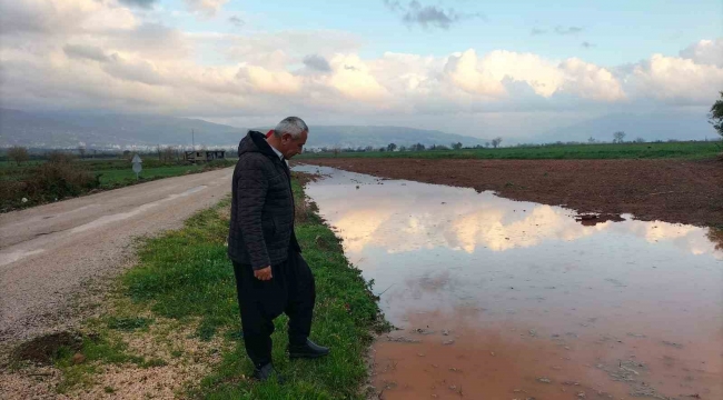 Osmaniye'de, Nisan yağmurları çiftçiye can suyu oldu