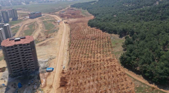 Şehitkamil'de 26. orman için hazırlıklar tamamlandı