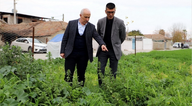 Mersin'de ata yadigarı karakılçık tohumunun üretiminden büyük verim elde edildi