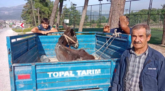 'Karakaçan'ın patpat römorkundaki veteriner yolculuğu yürekleri ısıttı