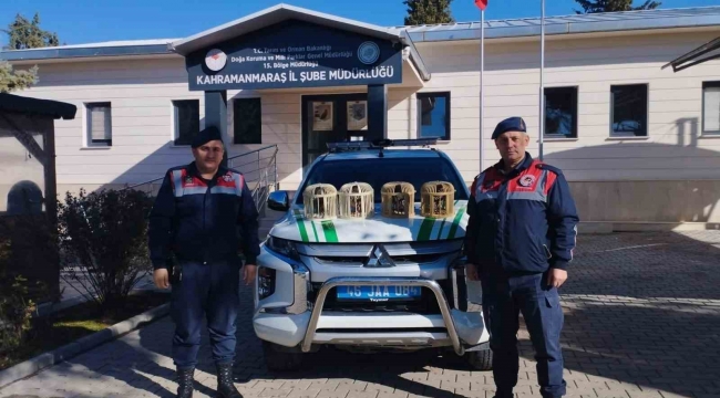 Konteynerde keklik besleyen şahıs yakalandı