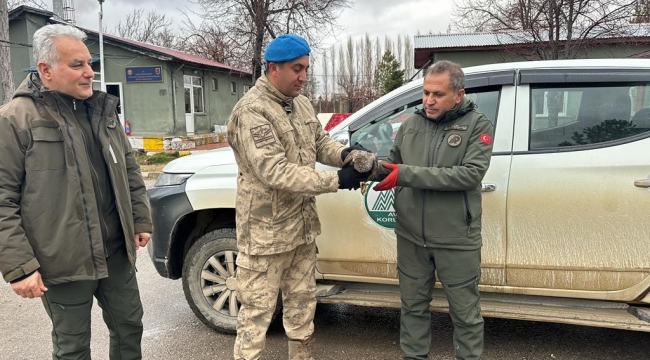 Yaralı atmacaya jandarma ekipleri sahip çıktı