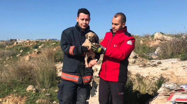 Definecilerin kazdığı kuyuya düşen köpek itfaiye ekiplerince kurtarıldı