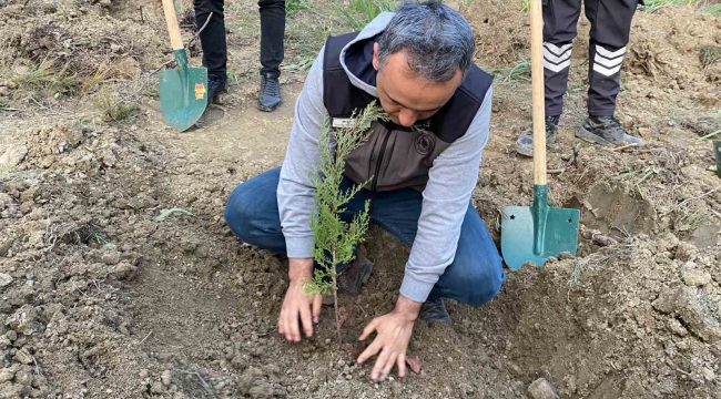 Yanan ormanlık alanları basın mensupları yeşertiyor