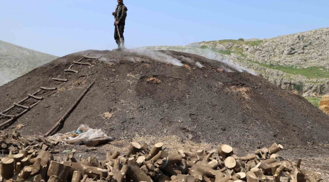 Çukurova sıcağında narenciye odunları mangal kömürüne dönüşüyor