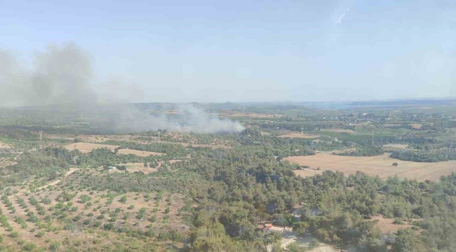 Adana'da çıkan orman yangını kontrol altına alındı