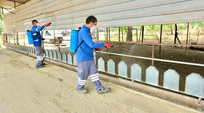 Meyve ihracatının düşmanı Akdeniz Meyve Sineği ile topyekun mücadele