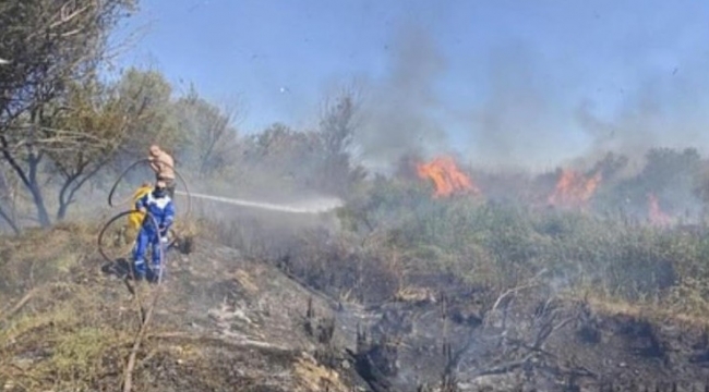 Osmaniye'de Kastabala Kuş Cenneti'nde çıkan yangın söndürüldü