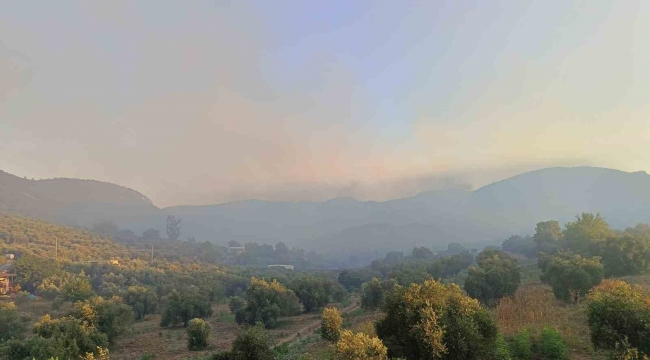 Adana Kozan'da orman yangını