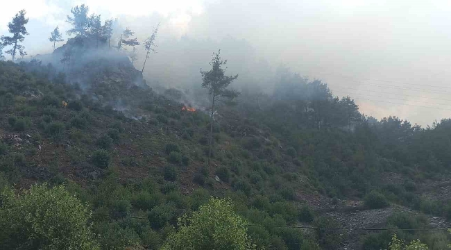 Adana'da orman yangını