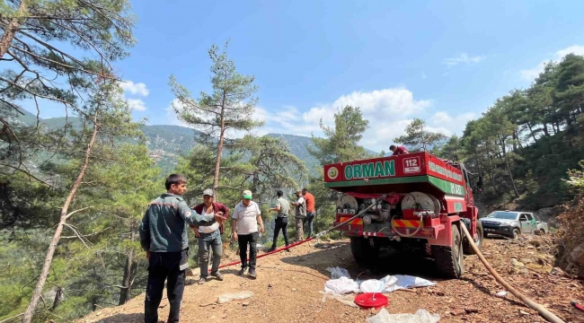 Adana'da orman yangını