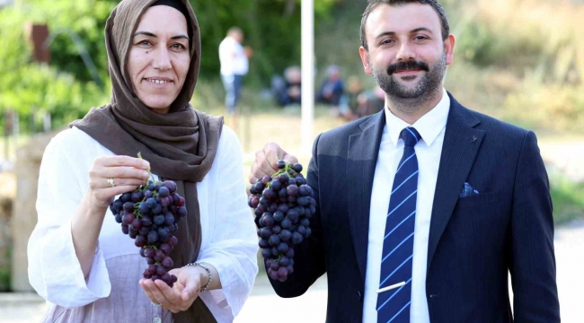 Akdeniz Belediyesi'nden Esenli Üzüm Şenliği'ne davet