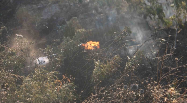 Antakya'da otluk alanda çıkan yangın büyümeden söndürüldü