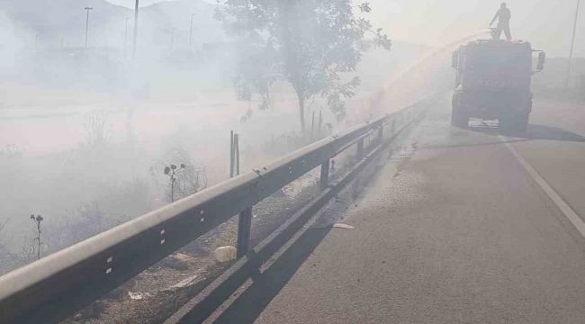 Arsuz'da çıkan ot yangınını itfaiye ekipleri söndürdü