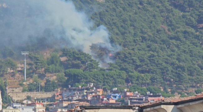 Habibi Neccar Dağı'nda çıkan orman yangını söndürüldü