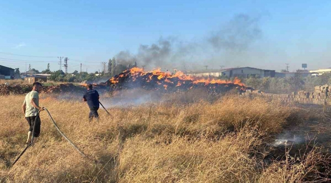 Hassa'da saman balyaları alevlere teslim oldu